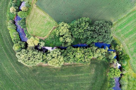 Gülle, Dünger, Pestizide: Bäche, die an landwirtschaftlich genutzte Flächen grenzen, weisen oft zu hohe Schadstoffbelastungen auf