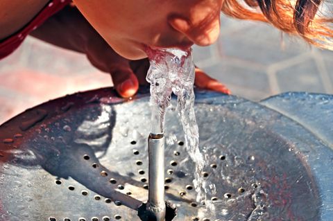 Vor allem bei Hitze hält Wasser den Organismus gesund 