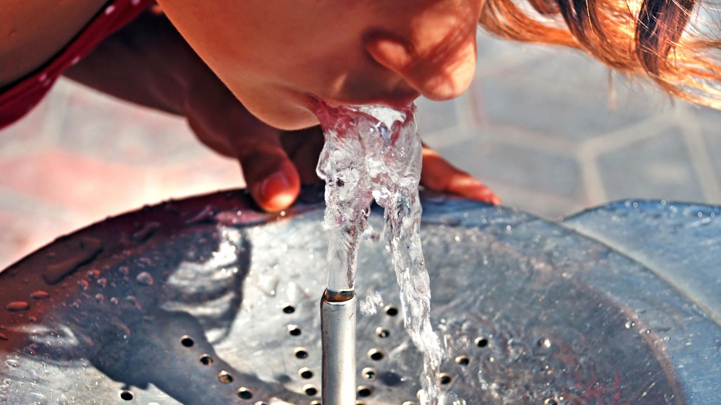 Vor allem bei Hitze hält Wasser den Organismus gesund 