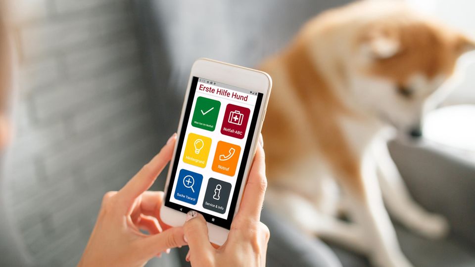App "Erste Hilfe Hund"