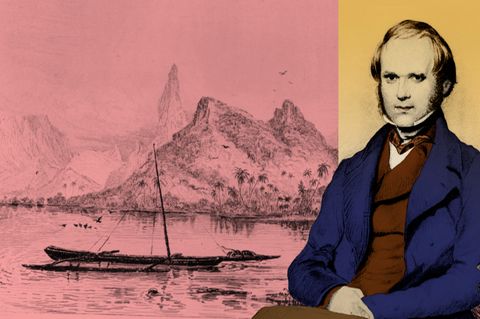 Naturforscher Charles Darwin