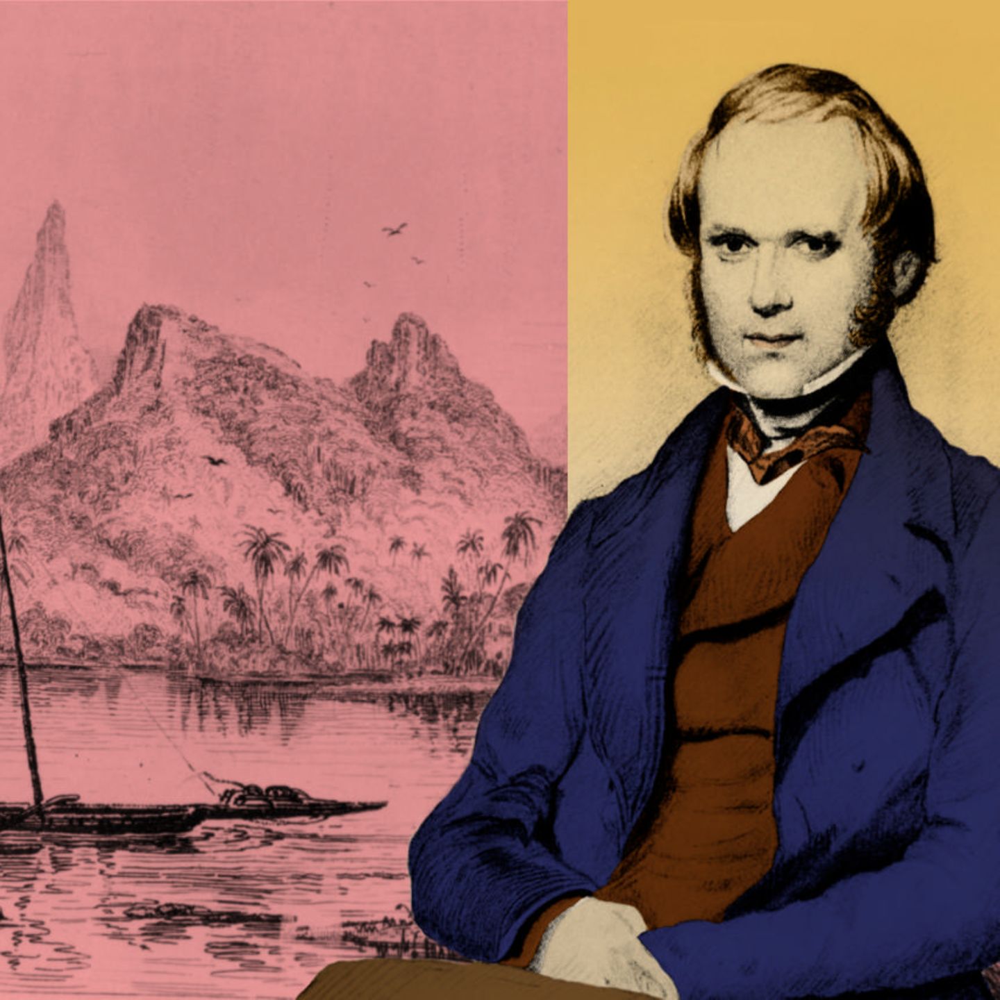 Naturforscher Charles Darwin
