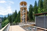 Turm am Baumwipfelpfad Senda dil Dragun