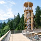 Turm am Baumwipfelpfad Senda dil Dragun