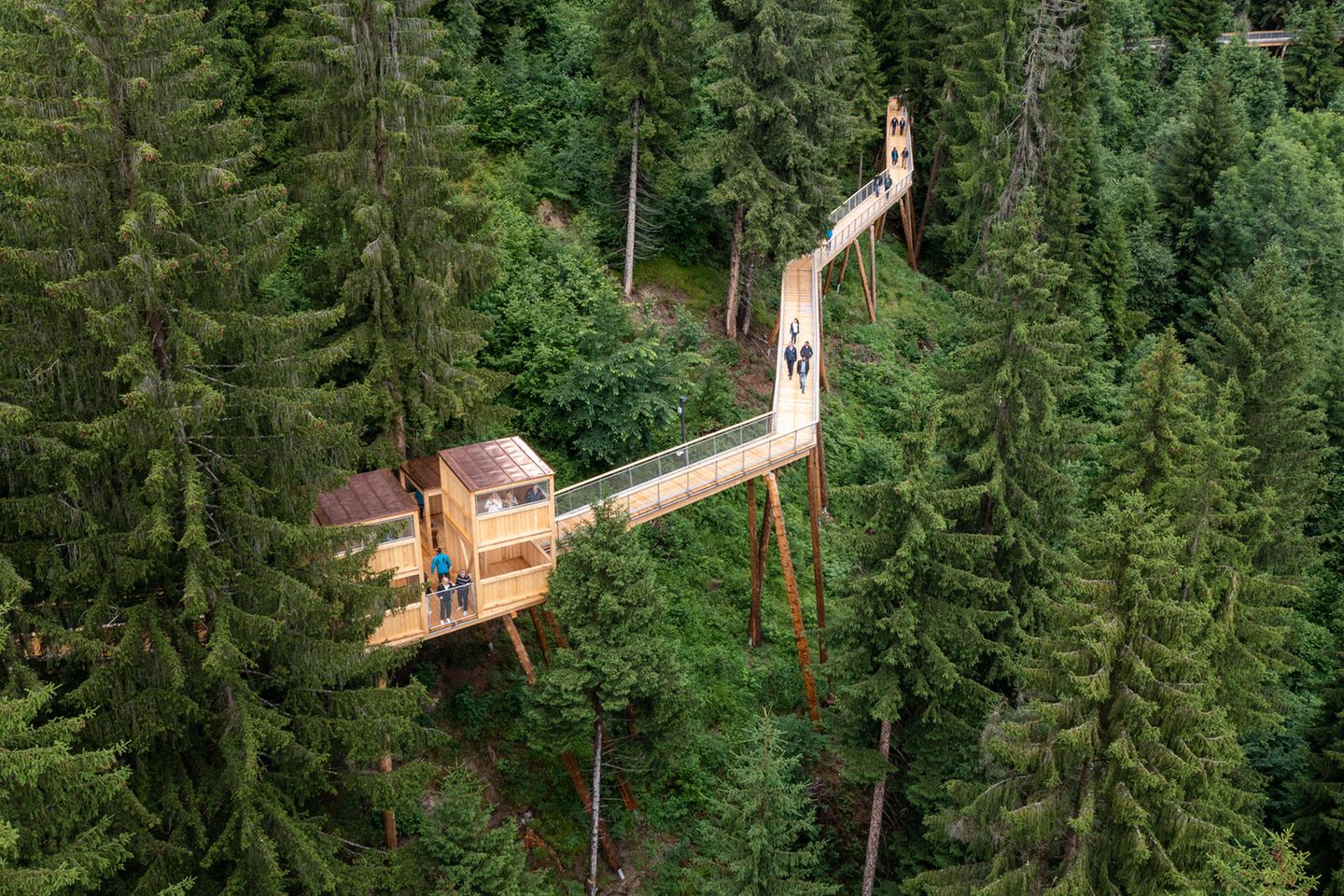 Baumwipfelpfad Senda dil Dragun in der Schweiz Baumwipfelpfad Senda dil Dragun in der Schweiz
