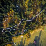 Der längste Baumwipfelpfad der Welt