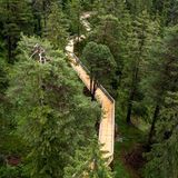 Baumwipfelpfad Senda dil Dragun in der Schweiz