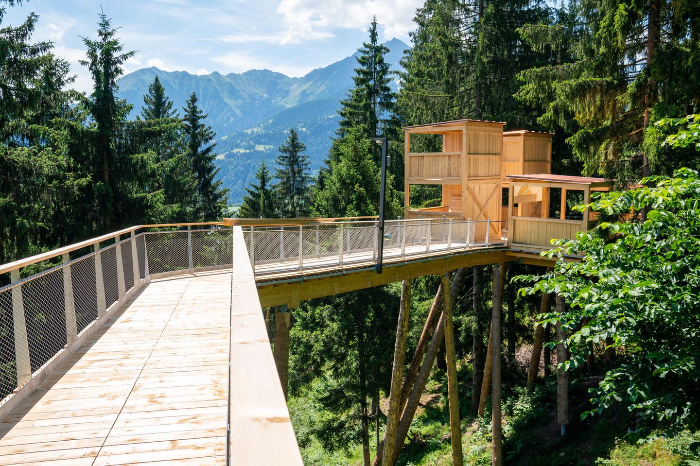 Blick vom Baumwipfelpfad in Laax mit Bergen im Hintergrund