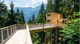 Blick vom Baumwipfelpfad in Laax mit Bergen im Hintergrund