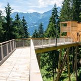 Blick vom Baumwipfelpfad in Laax mit Bergen im Hintergrund
