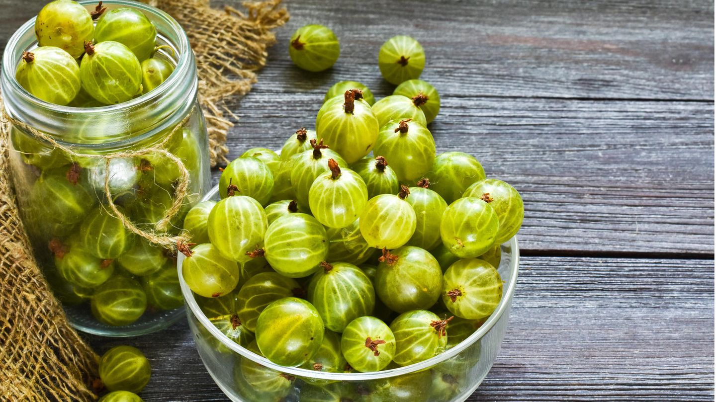 Reife Stachelbeeren in einer Glasschüssel stehen auf einem Holztisch
