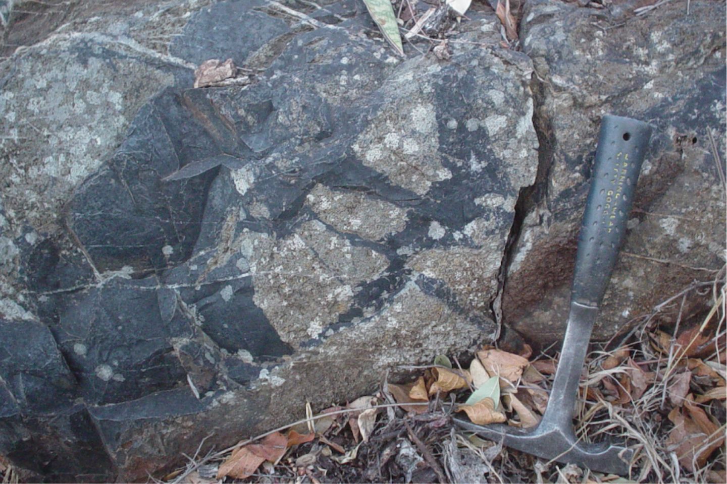 Felsausbiss, aus dem die Gesteinsprobe im Barberton Greenstone Belt in Südafrika entnommen wurde