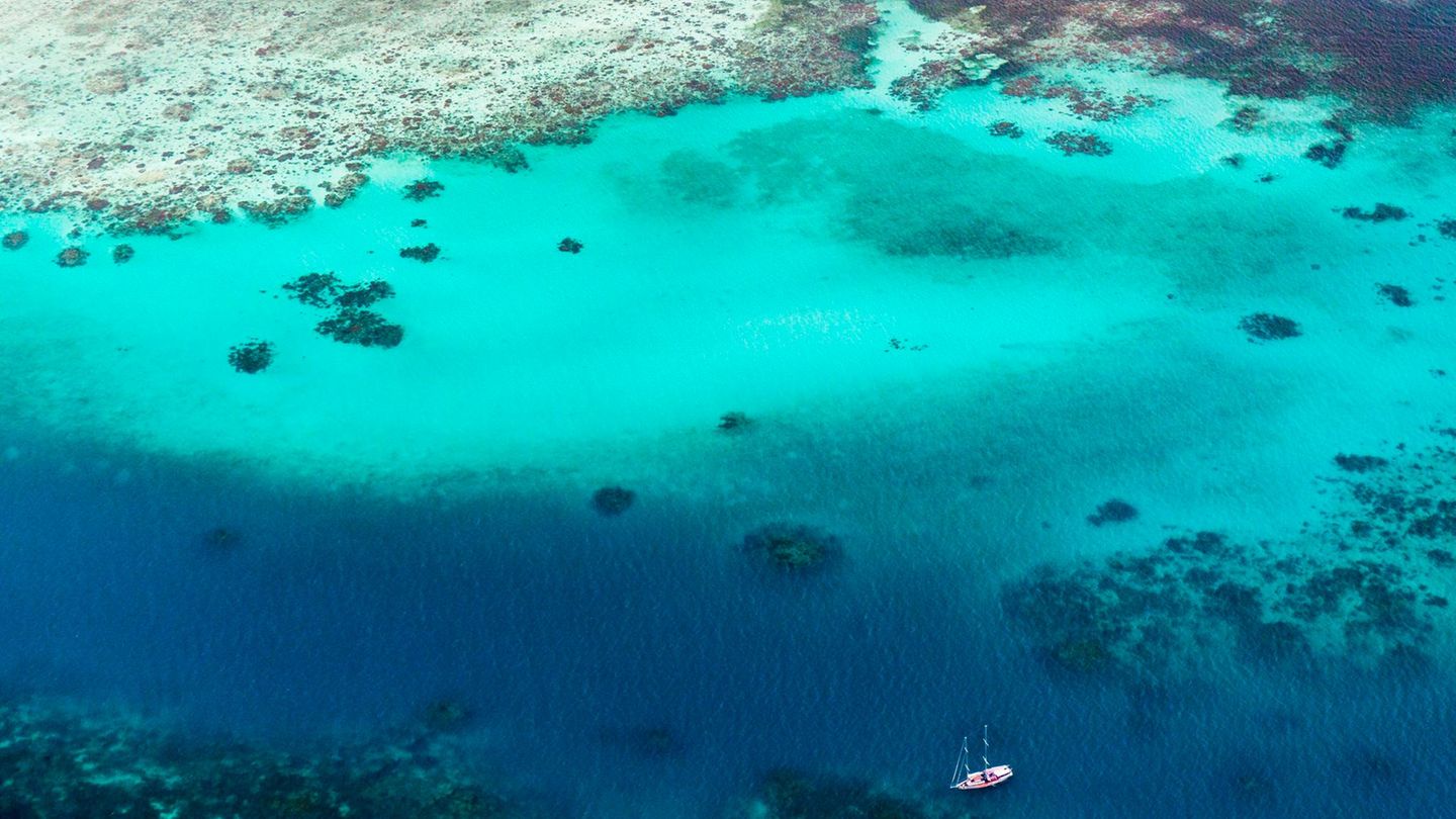Luftaufnahme des Great Barrier Reef in Australien