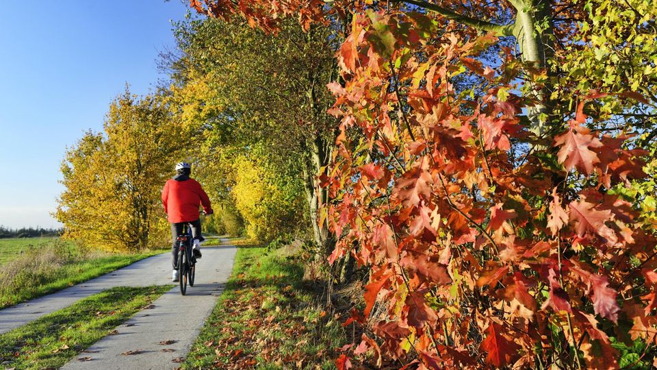 Radfahrer in den Marschlanden bei Kirchwerder Radfahrer in den Marschlanden bei Kirchwerder
