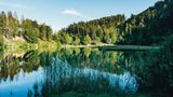Nonnenmattweiher