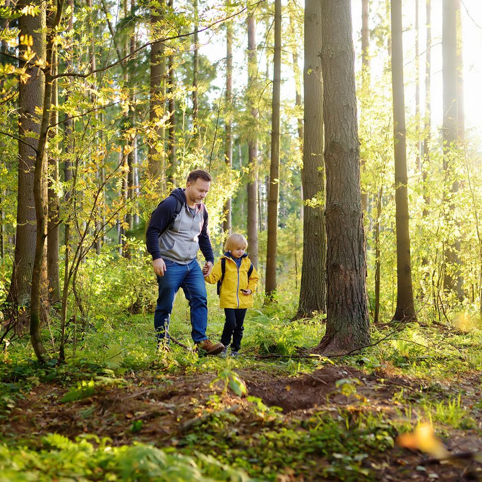 Nachhaltig leben, langfristig denken: Zum Beispiel gemeinsam mit Kindern die Natur entdecken und ihnen die Naturliebe weitergeben