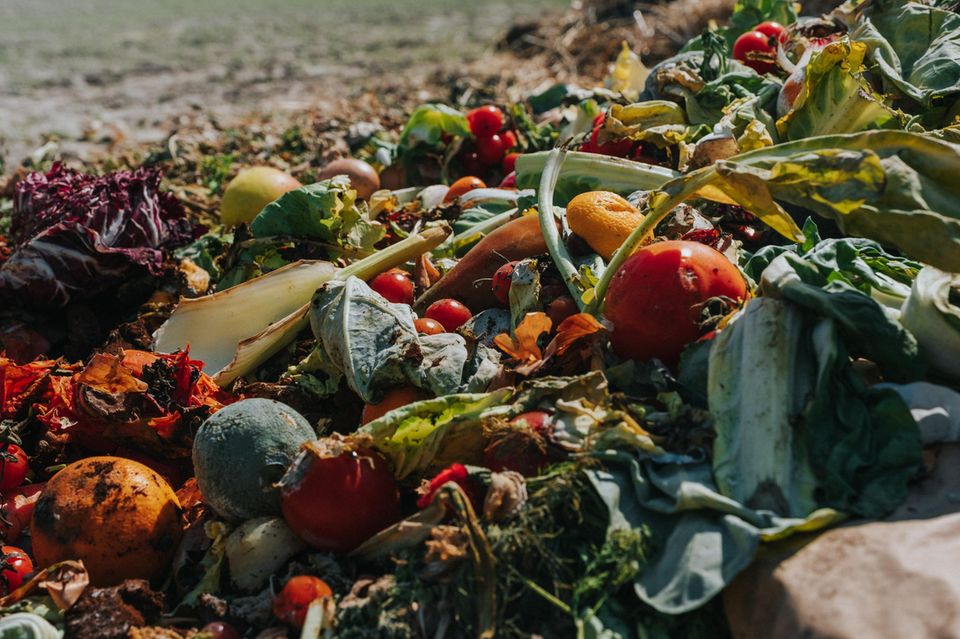 Obst und Gemüse liegen als Abfall auf einem Feld