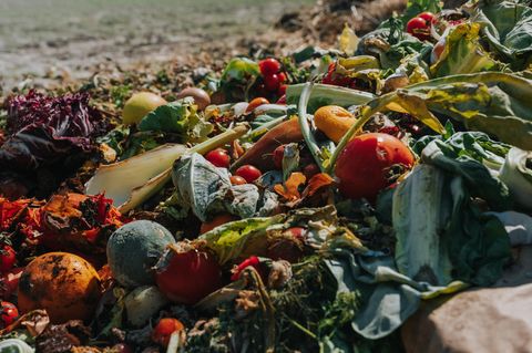 Obst und Gemüse liegen als Abfall auf einem Feld