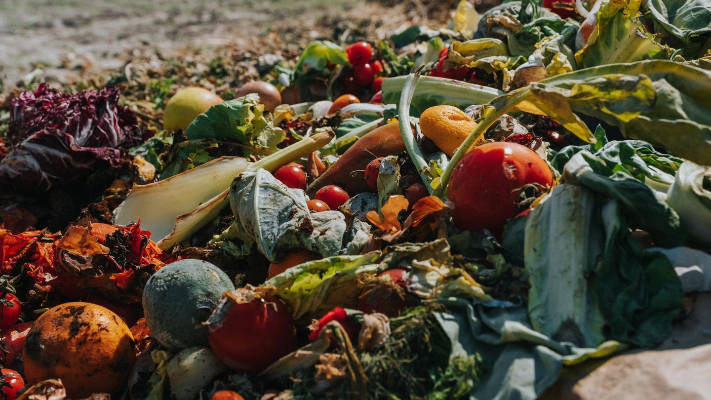 Obst und Gemüse liegen als Abfall auf einem Feld