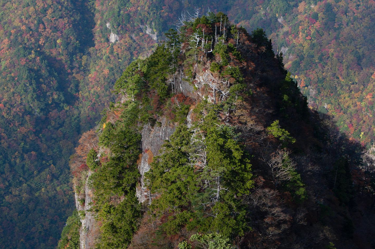 Odaigahara Odaigahara Berg im Yoshino-Kumano-Nationalpark