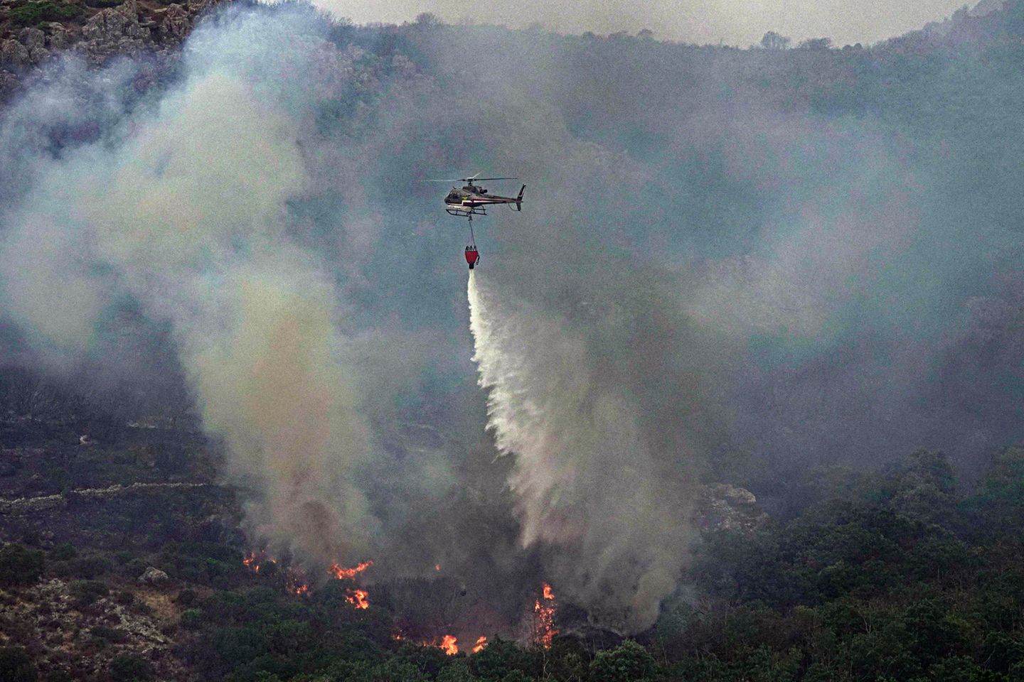 Ein Hubschrauber wirft über einem Waldgebiet in Cugliari Wasser ab, um Flammen zu löschen