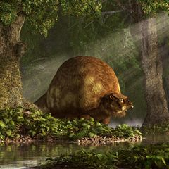 Vor etwa 50.000 Jahren breitete sich Homo sapiens auf der Welt aus und veränderte diese unwiderruflich. Vor allem die großen Tiere verschwanden
