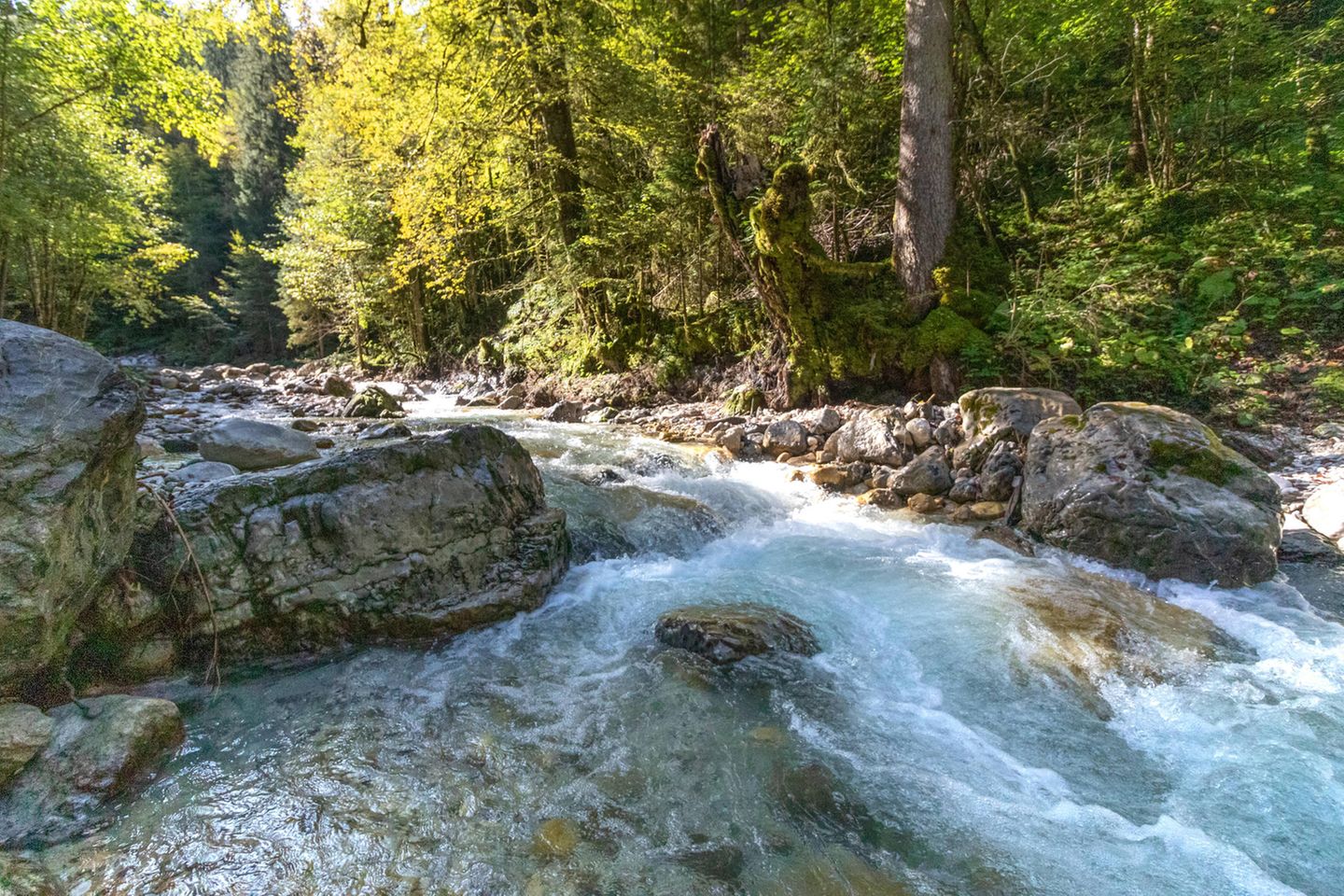Hammersbach
