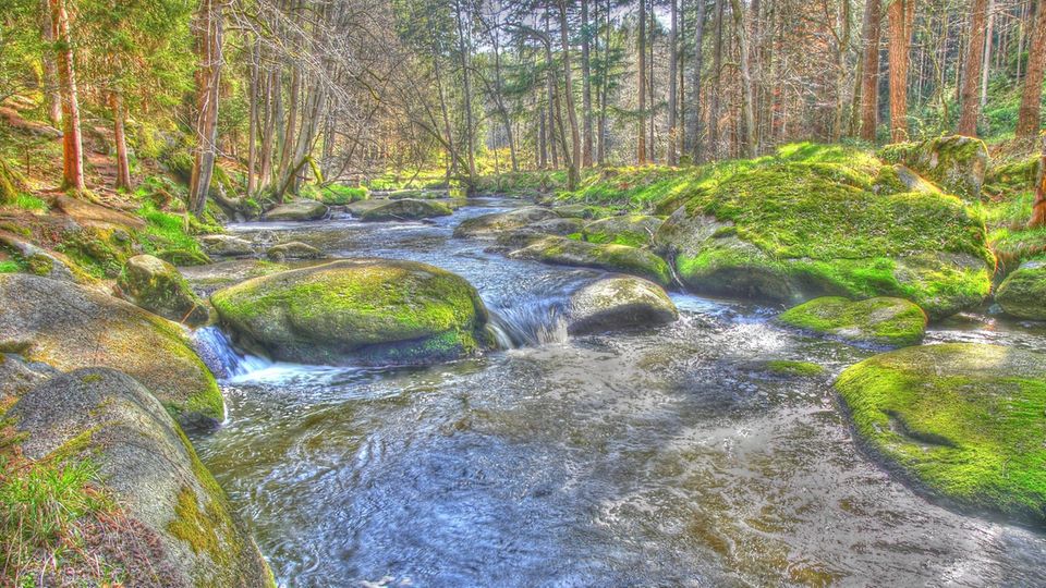 Flusslauf der Waldnaab im Waldnaabtal