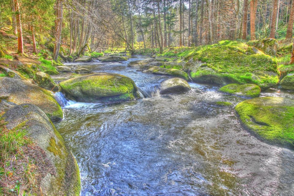 Flusslauf der Waldnaab im Waldnaabtal