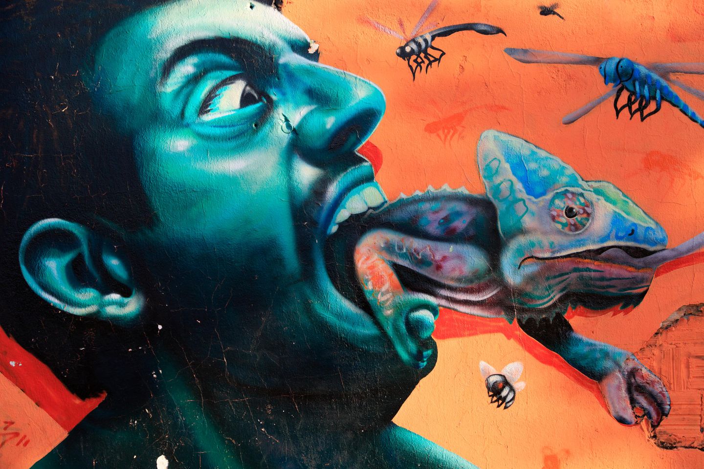 Grafitti zeigt einen Mann, der ein Chamäleon verschluckt