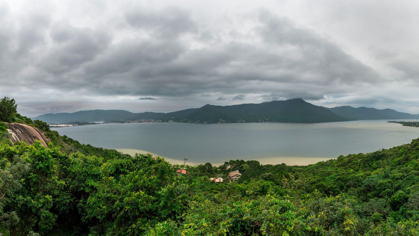 Atlantischer Regenwald Conceicao Lagune in Florianopolis