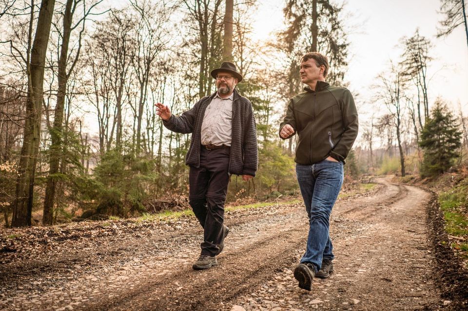 Erst Käfer, dann Kahlschlag: Pierre Ibisch und GEO-Chefredakteur Jens Schröder begutachten die Montabaurer Höhe, auf Einladung besorgter Biologen der Universität Koblenz-Landau