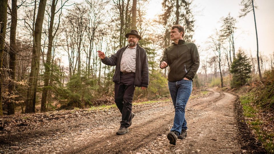 Ökologische Waldbewirtschaftung: Erst Käfer, dann Kahlschlag: Pierre Ibisch und GEO-Chefredakteur Jens Schröder begutachten die Montabaurer Höhe, auf Einladung besorgter Biologen der Universität Koblenz-Landau Erst Käfer, dann Kahlschlag: Pierre Ibisch und GEO-Chefredakteur Jens Schröder begutachten die Montabaurer Höhe, auf Einladung besorgter Biologen der Universität Koblenz-Landau