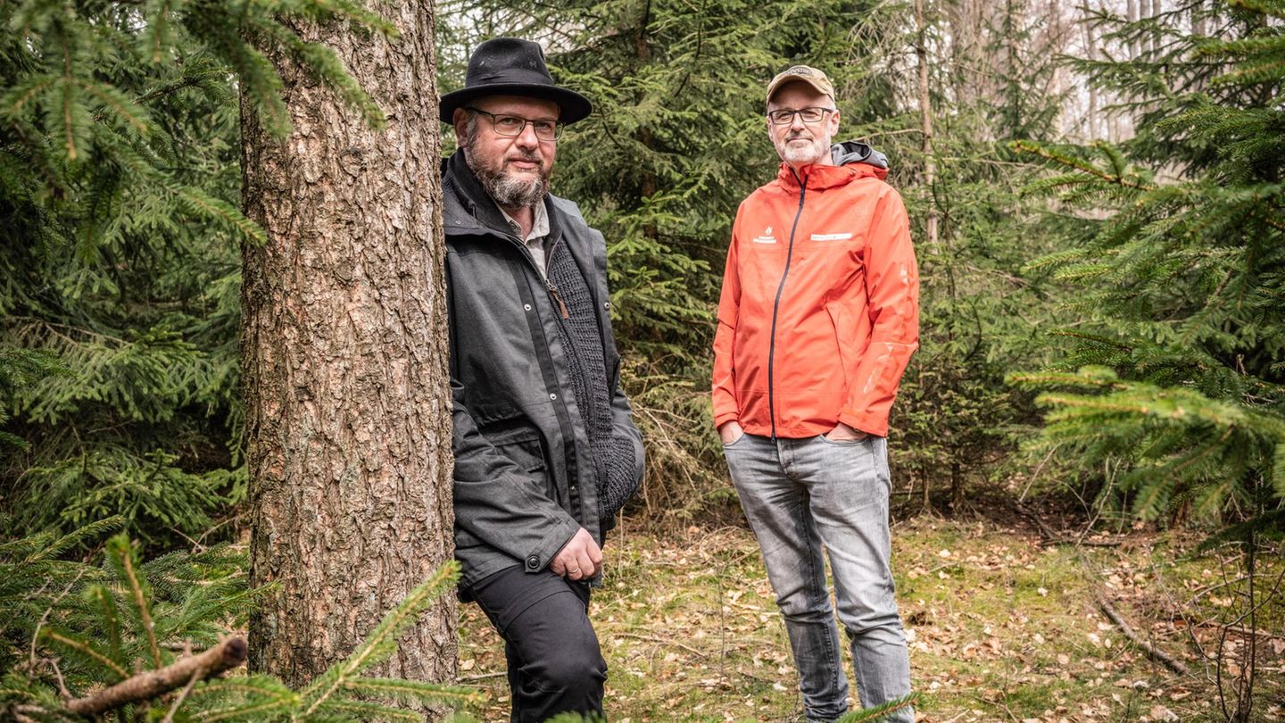 Ökologische Waldbewirtschaftung: Hauptfiguren bei unserem Projekt: Pierre Ibisch, Professor für »Nature Conservation« in Eberswalde und der Förster und Autor Peter Wohlleben