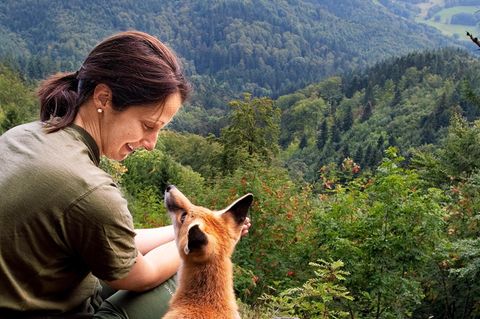 Tierliebe: Freundschaft zwischen Füchsin und Forstwirtin: Das Jahr mit Sophie