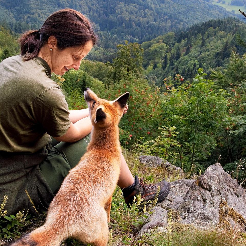 Tierliebe: Das Jahr mit Sophie: Von der Freundschaft zwischen einer Füchsin und einer Forstwirtin