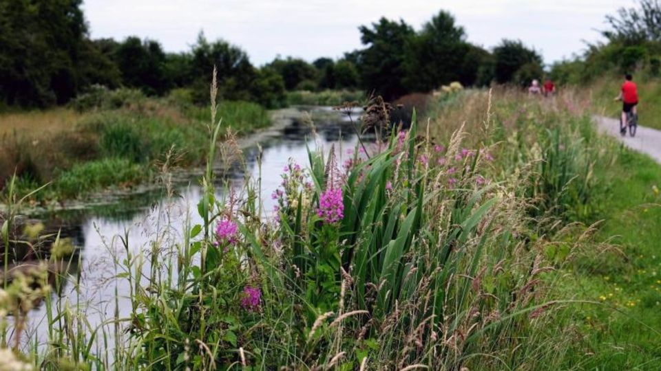 Der Royal Canal in der Nähe von Enfield Der Royal Canal in der Nähe von Enfield