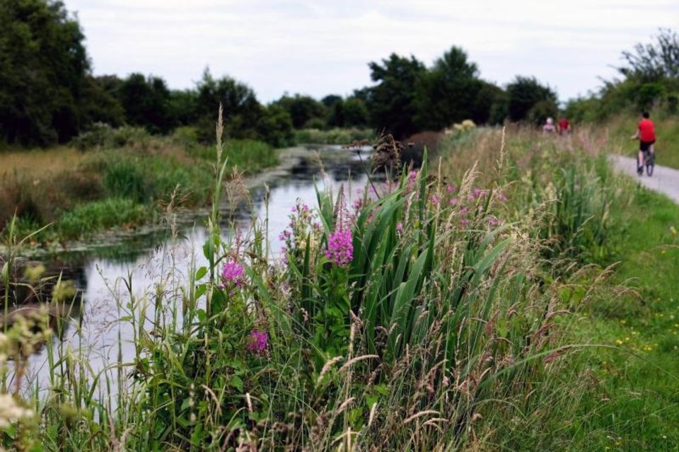 Der Royal Canal in der Nähe von Enfield
