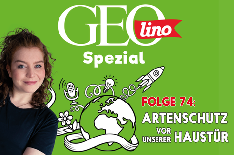 In Folge 74 unseres GEOlino-Podcasts hört ihr, wie ihr bedohten Arten vor eurer Haustür helfen könnt