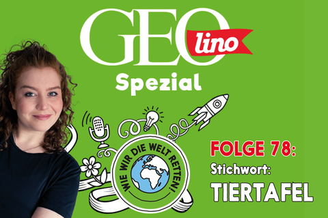 In Folge 78 unseres GEOlino-Podcasts hört ihr, wie max bei der Hamburger Tiertafel anpackt