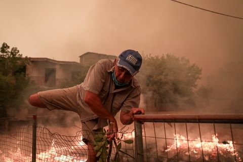 Waldbrand in Griechenland, Evia Island