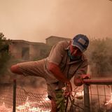 Waldbrand in Griechenland, Evia Island