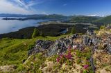 Blick auf die Küste von Kodiak Island im Sommer