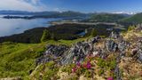Blick auf die Küste von Kodiak Island im Sommer