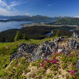 Blick auf die Küste von Kodiak Island im Sommer