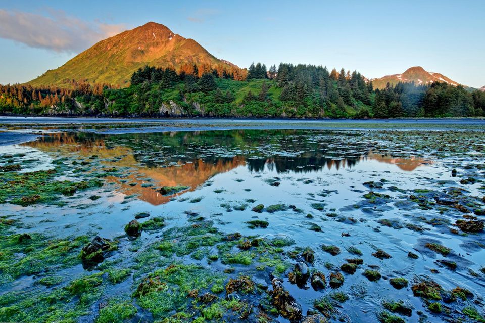 Monashka Bay auf Kodiak Island