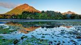 Monashka Bay auf Kodiak Island