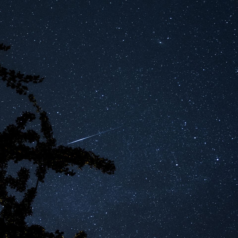 Sternschnuppe der Perseiden