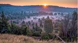 Der Totengrund in der Lüneburger Heide während der Heideblüte bei Sonnenaufgang und Nebel