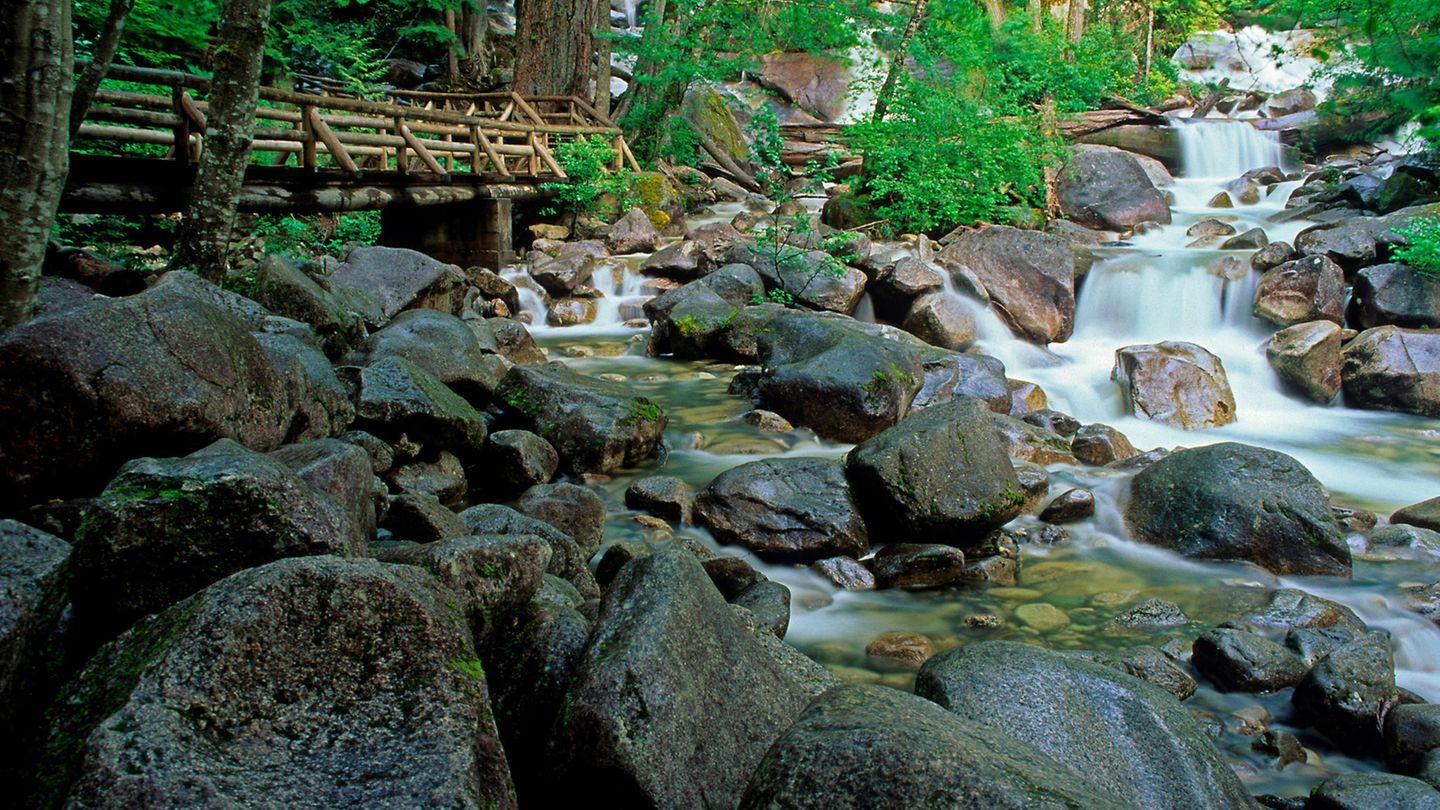 Wasser läuft von den Shannon Falls über den Shannon Creek hinunter